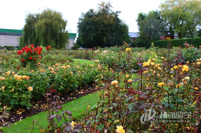 �����ڶ������������Ǵ�ѧ