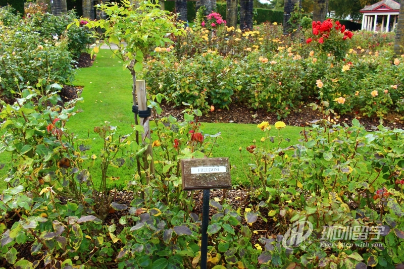 �������ǵĴ�ѧ2025qs����