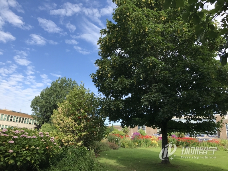 马来西亚医学专业有几年