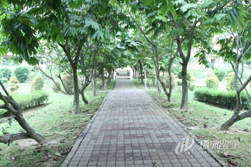 马来西亚玛拉工艺大学硕士学费