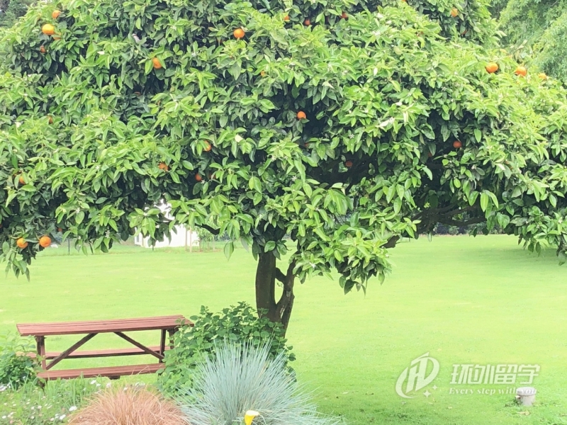 为什么选择马来西亚留学