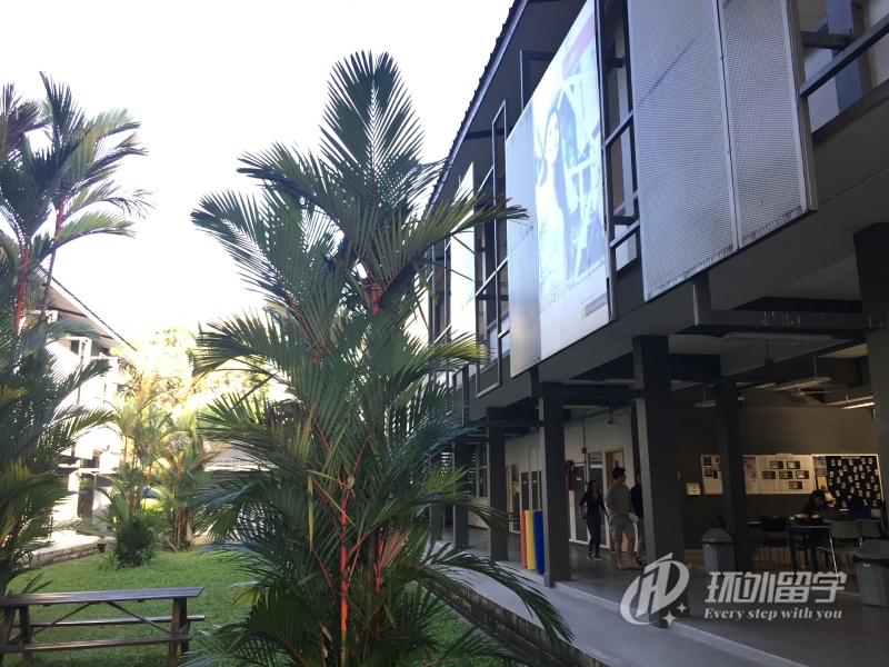 新加坡留学热门专业