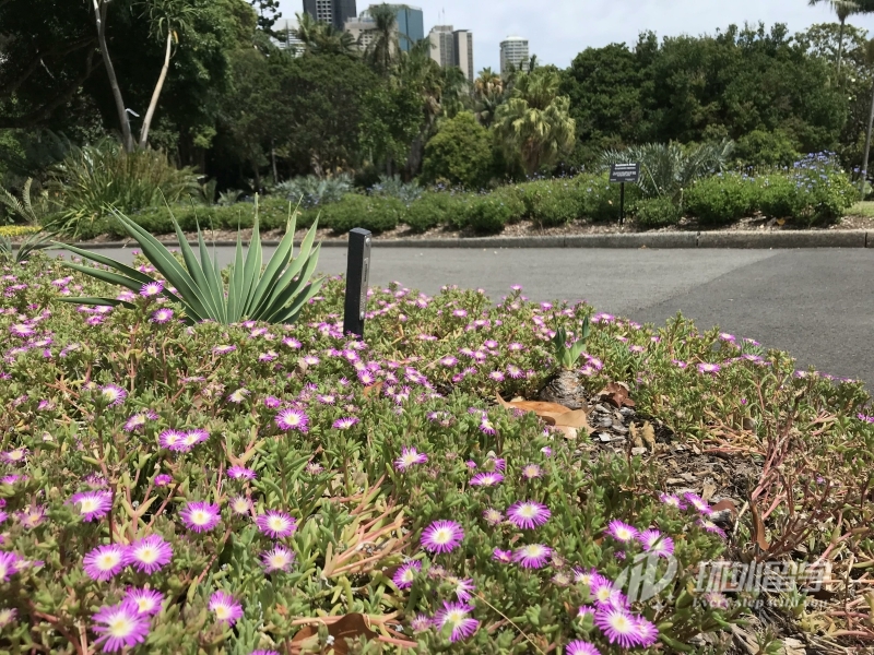 新加坡私立大学留学