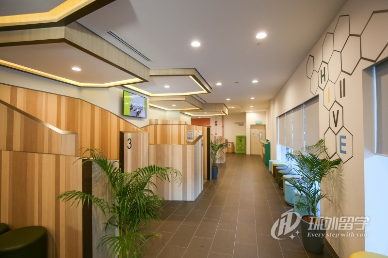 新加坡更适合中国留学生