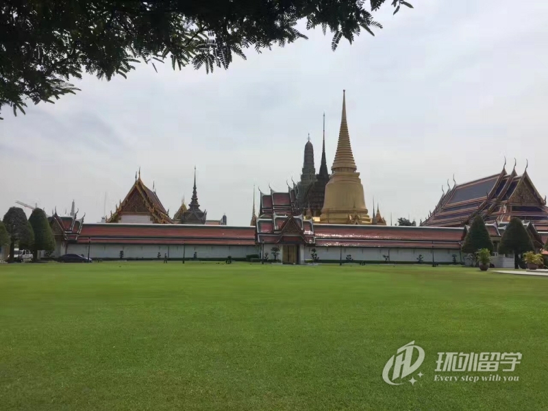 泰国医学类专业