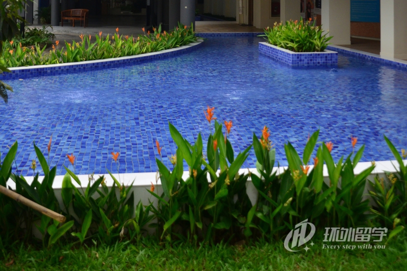 新加坡PSB学院申请