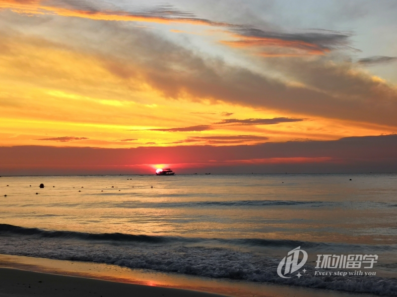 本科生申請(qǐng)?zhí)﹪?guó)大學(xué)博士