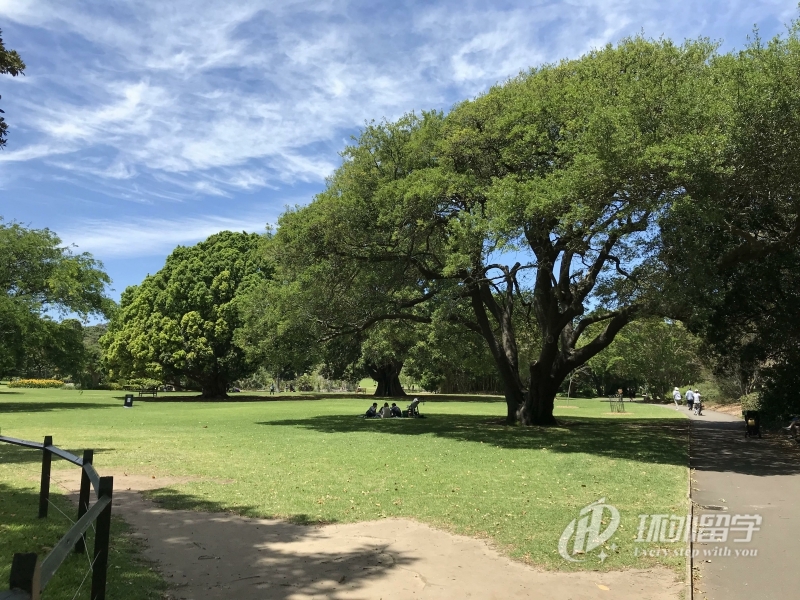 新加坡留学本科大学