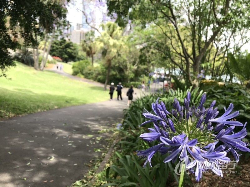 马来亚大学硕士学费