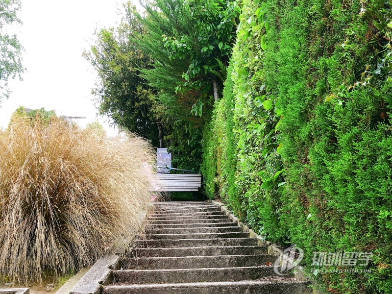 马来西亚玛莎大学博士留学