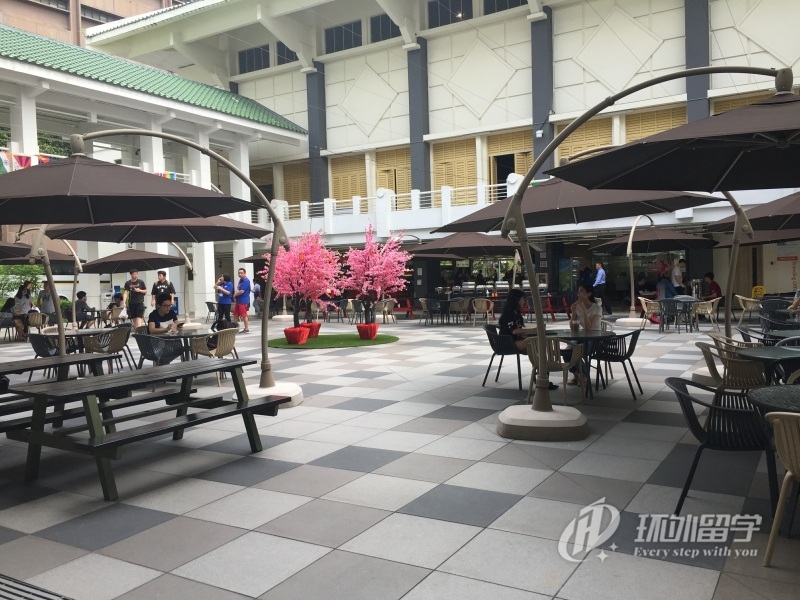 新加坡本科申请研究生