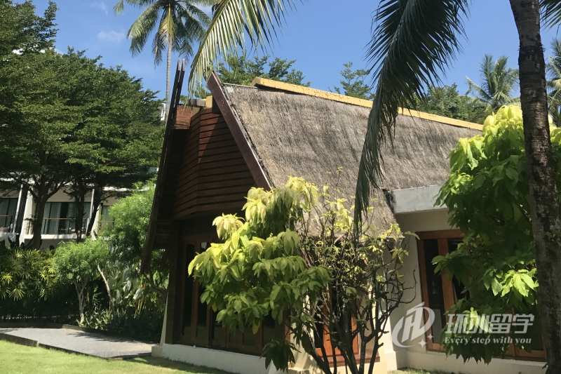 新加坡读研究生报考要求