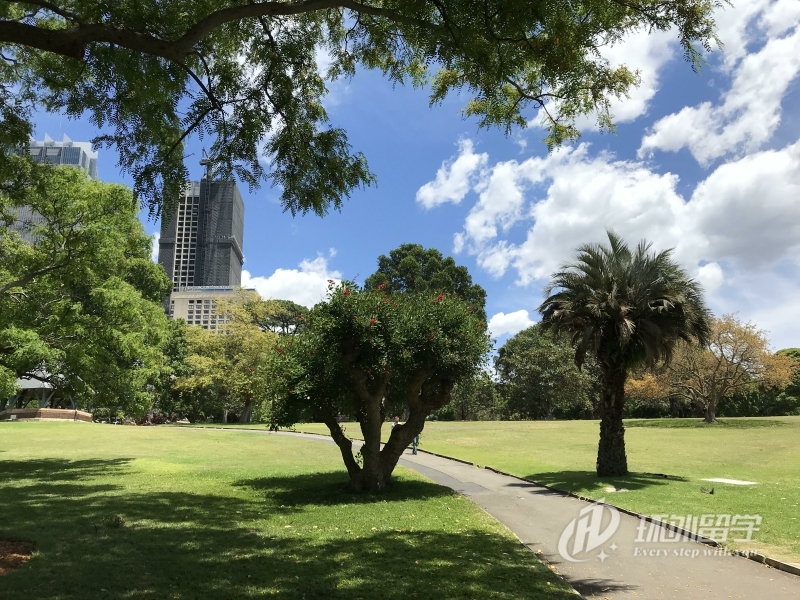 新加坡舞蹈研究生留学