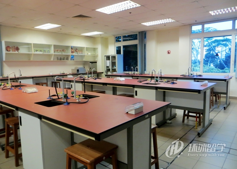 南洋理工大学研究生语言条件