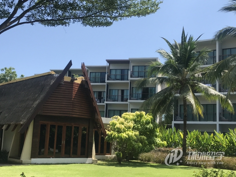 去新加坡读一年硕士