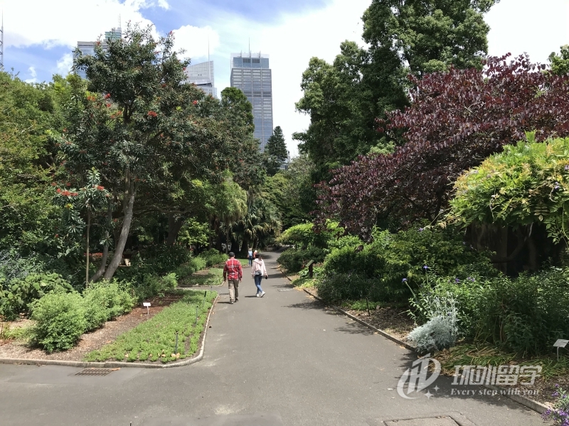 马来西亚林肯大学留学