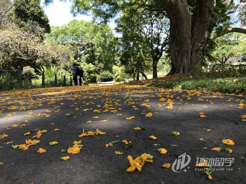 林国荣创意科技大学留学