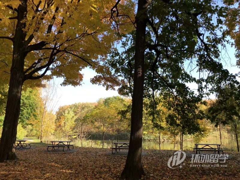 马来西亚国民大学会计专业研究生