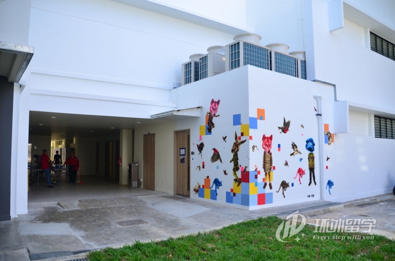 新加坡管理大学本科