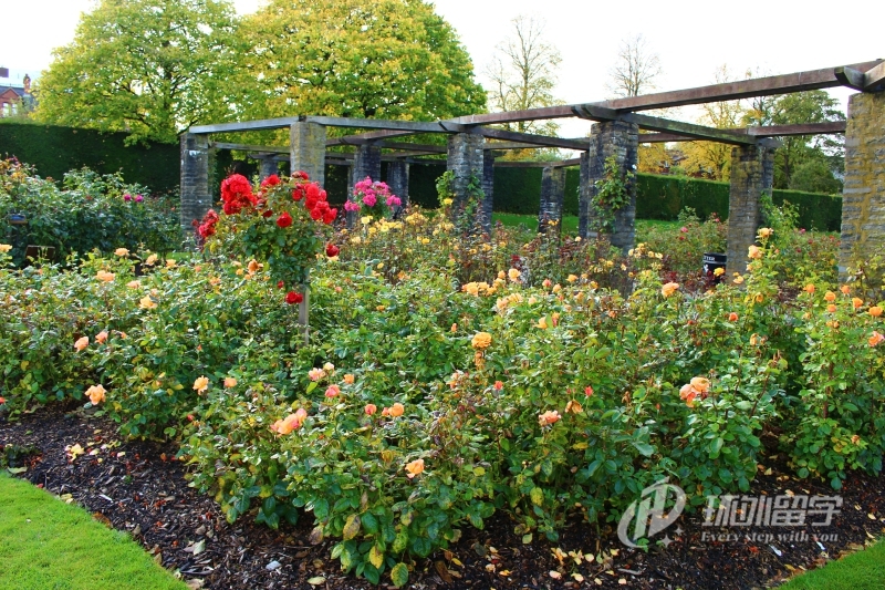 马来西亚预科申请条件