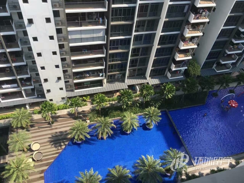 申请新加坡国立会计专业研究生