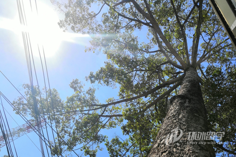 新加坡读研的申请条件