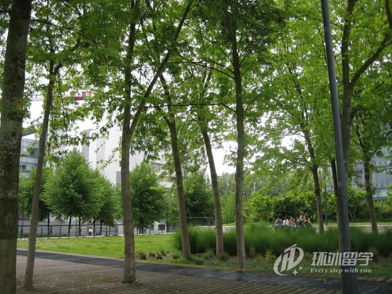 马来西亚心理学研究生留学