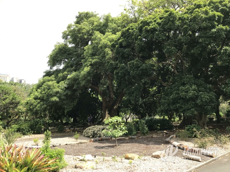 马来西亚玛拉工艺大学硕士