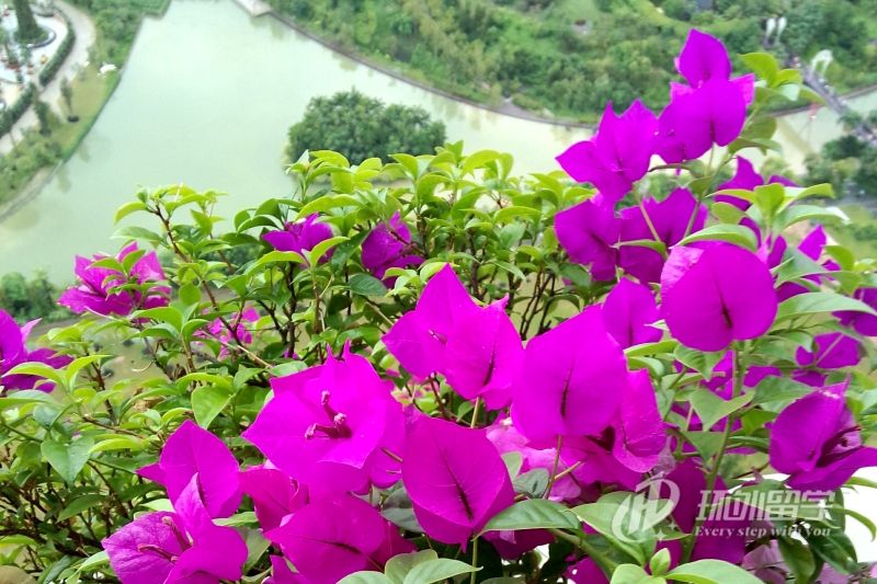 新加坡国立大学经济学研究生