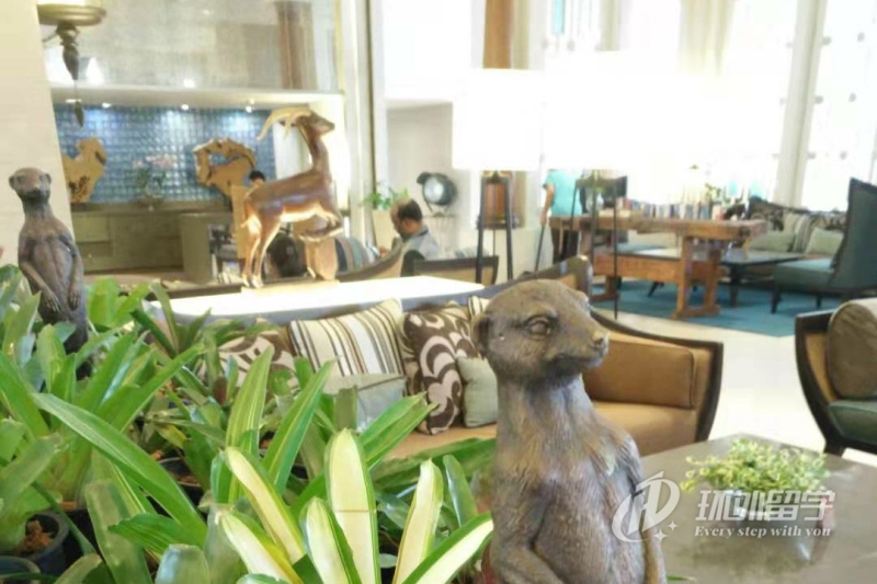 新加坡私立留学读研条件