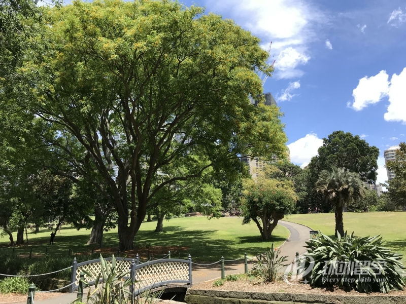 马来亚大学本科学制