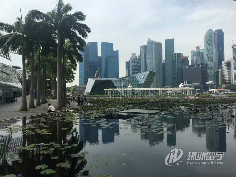 新加坡国立大学的管理硕士