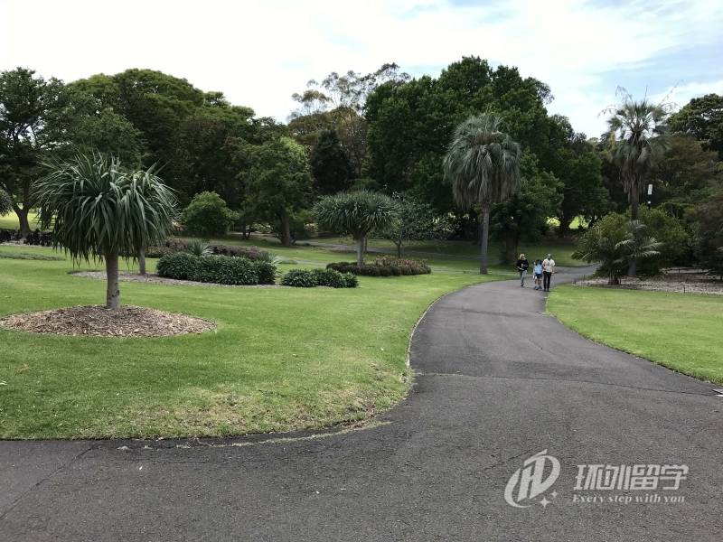 新加坡上研究生需要什么条件