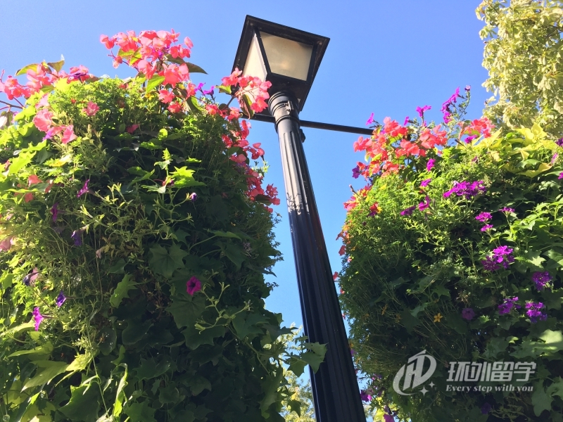 马来西亚戏剧专业留学