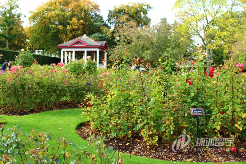 新加坡金融硕士申请条件