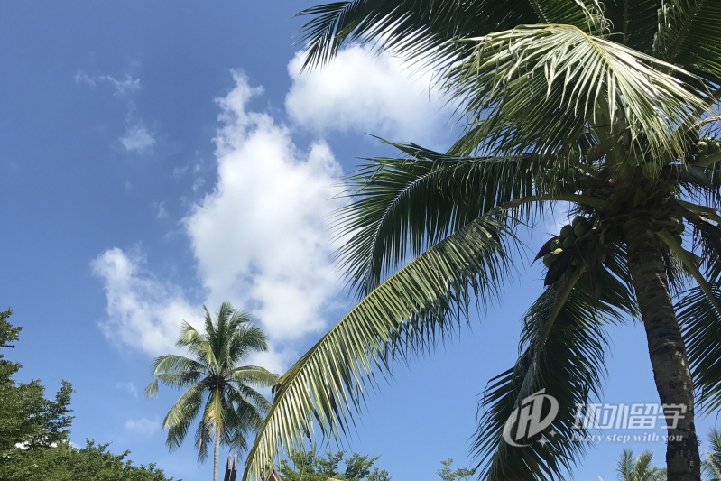 新加坡国立大学硕士几年