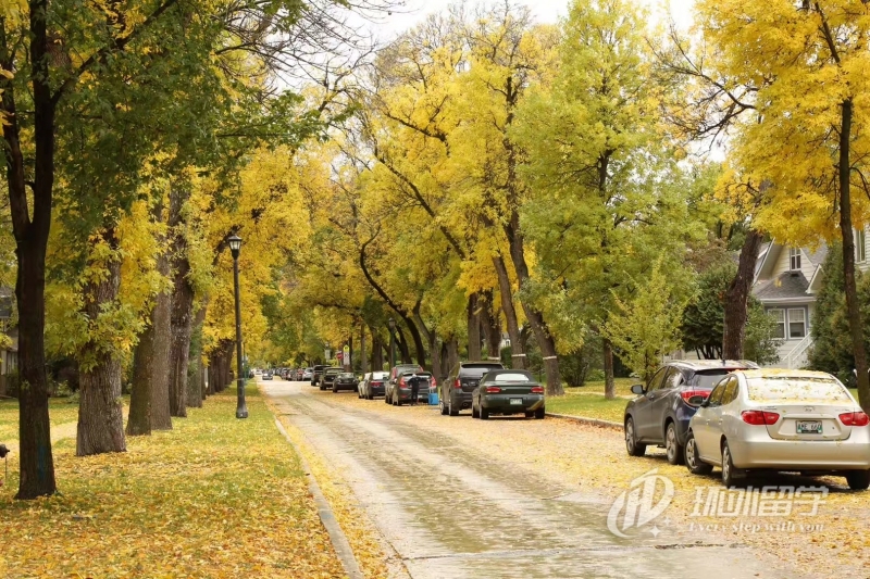 马来西亚大学本科申请条件