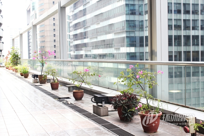 �����������������ѧ�о���