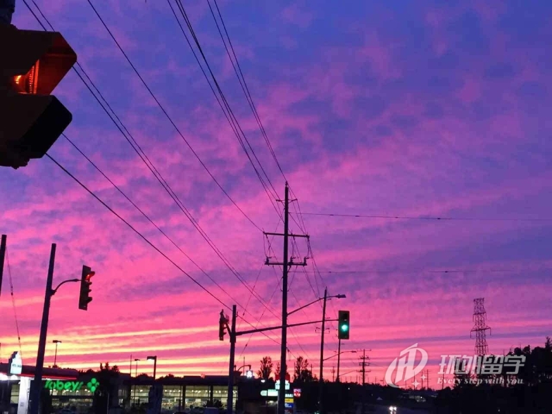 ��������������ǲ�ʿ