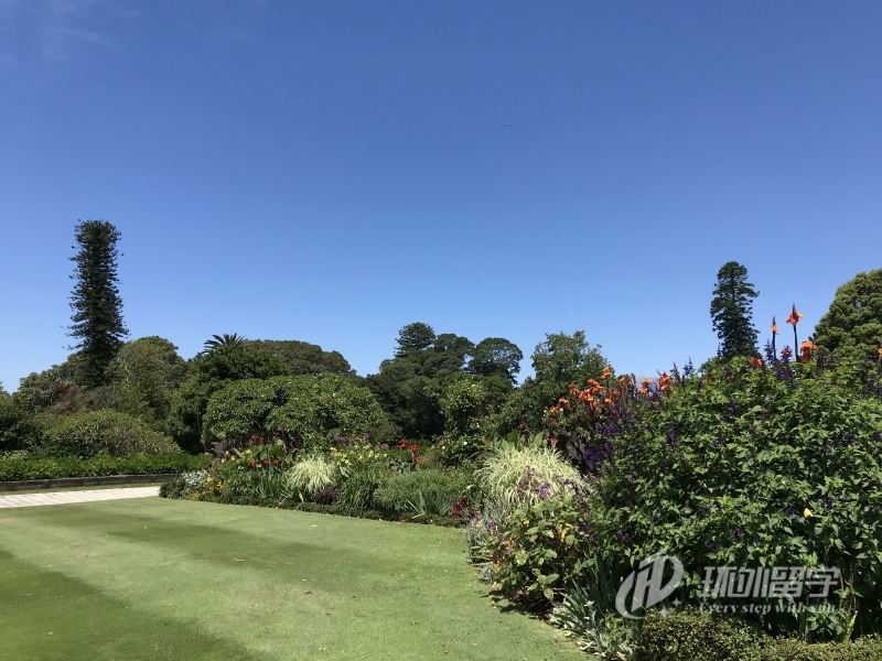 �����Ǵ�ѧ��ʿѧ��