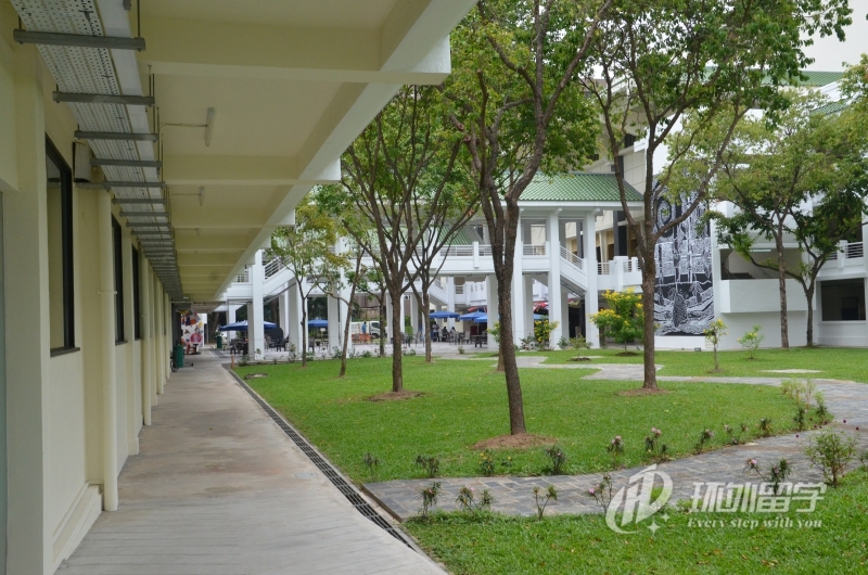 新加坡PSB学院澳洲纽卡斯尔大学本科课程