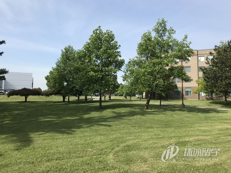 �¼�������Сѧ��ѧ