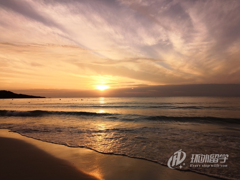 �¼�����ѧ�þ�ҵ��