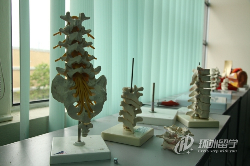 马来西亚思特雅大学留学