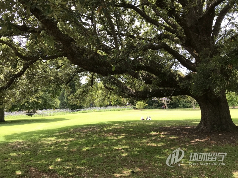 ������������רҵ˶ʿ��ѧ