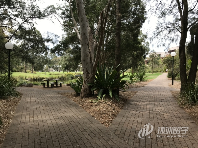 英迪大学留学费用