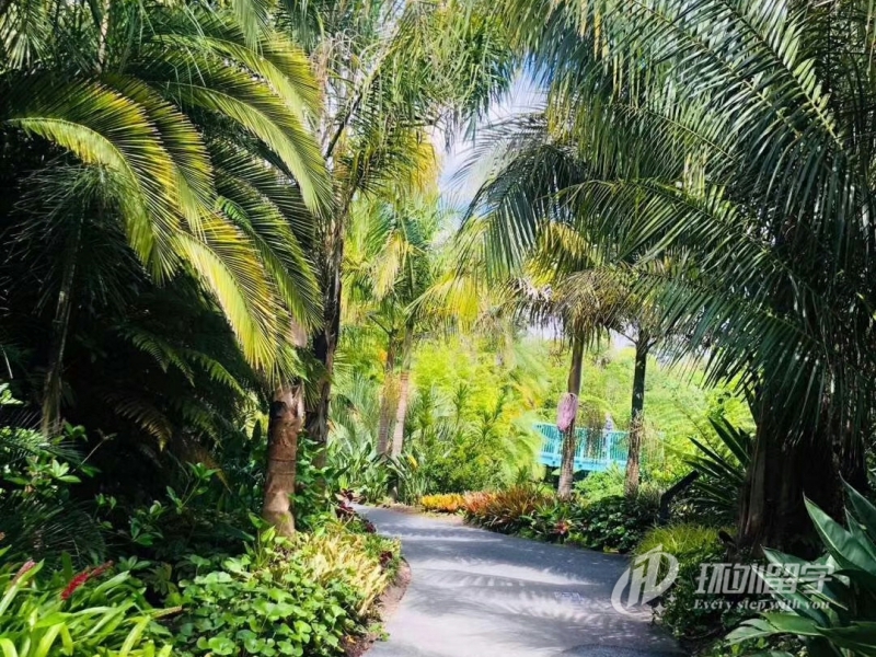 马来西亚金融学硕士