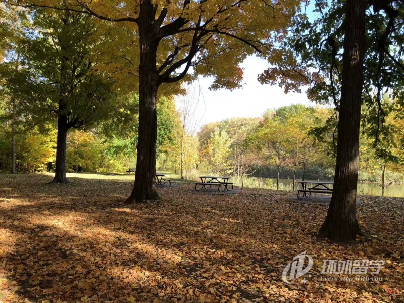 �¼��¹�������һ�����Ǯ