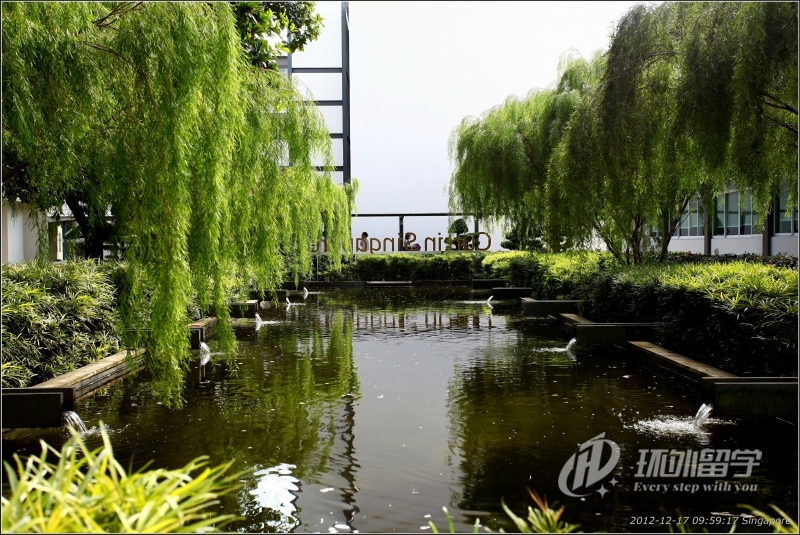 新加坡本科考研究生