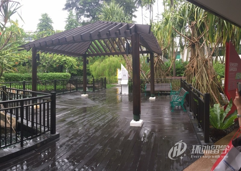 新加坡临床医学本科读几年